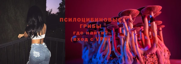дживик Гусь-Хрустальный