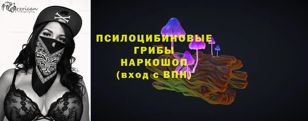 меф Дмитриев
