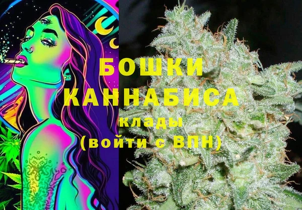 меф Дмитриев