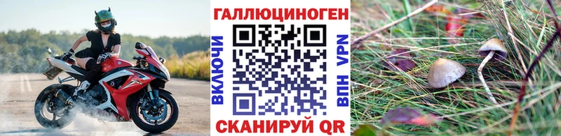 Галлюциногенные грибы Cubensis  Перевоз 